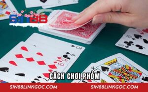 Cách Chơi Phỏm Sin88 Hiệu Quả Cho Người Mới Bắt Đầu